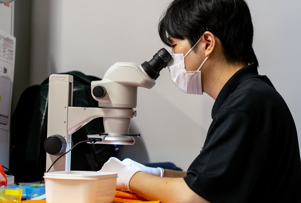 全数検査の様子